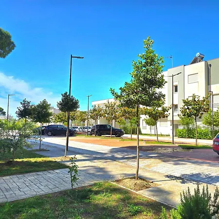 Art 219 * Plazhi San Pietro